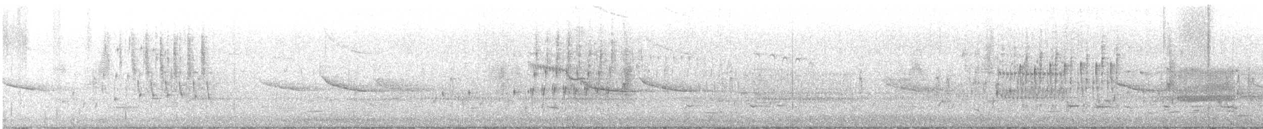 Troglodyte des marais - ML582491931