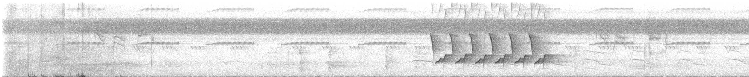 Каролинский крапивник - ML582506621