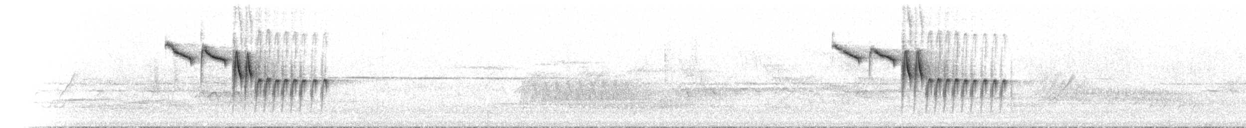 Белая лазоревка [группа cyanus] - ML582509641