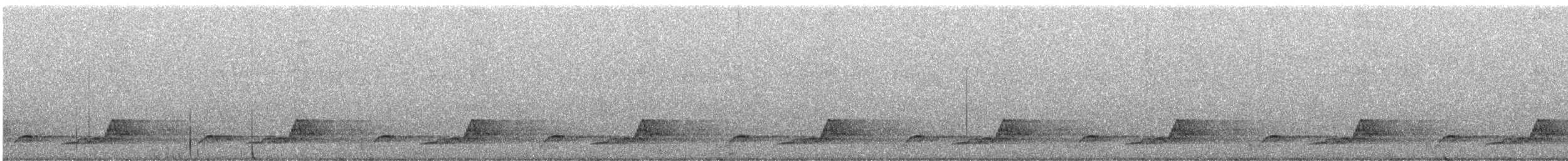 Schwarzkehl-Nachtschwalbe - ML582546211