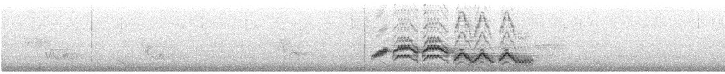 Дрізд-короткодзьоб Cвенсона - ML582551691