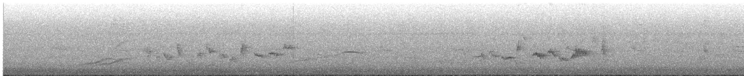 Warbling Vireo (Western) - ML582554741