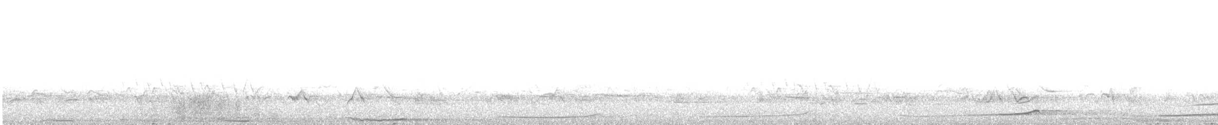 Сова плямиста - ML582569331