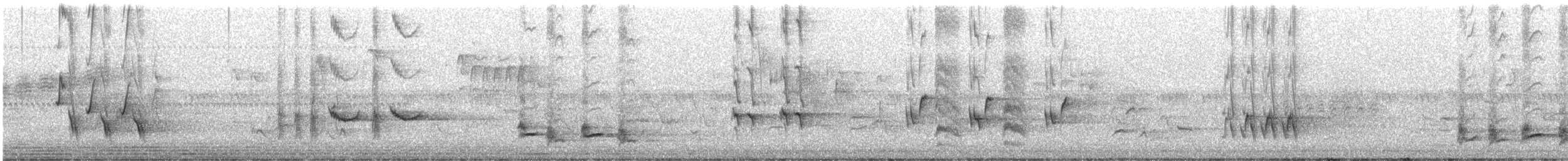 チャイロツグミモドキ - ML582570861