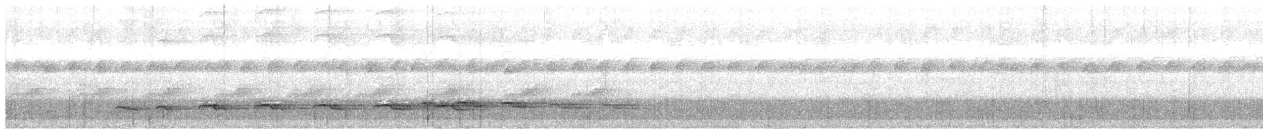 Weißschulter-Ameisenvogel - ML58258451