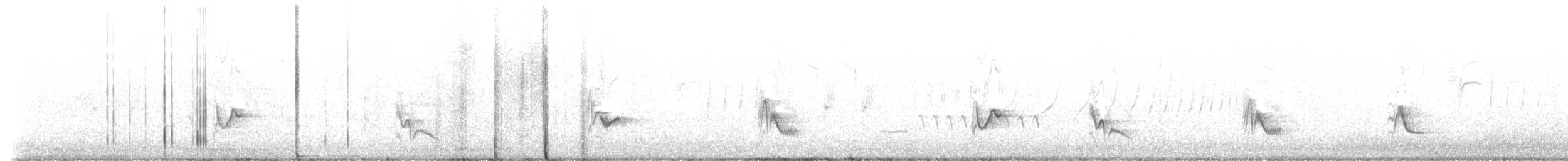 Gray Vireo - ML582623401
