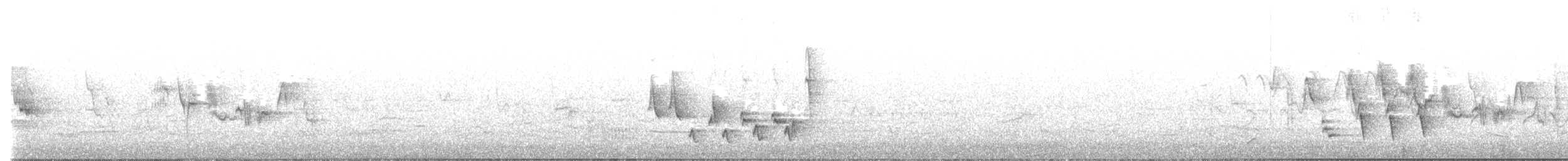 Зулбаран гургалдай - ML582623861