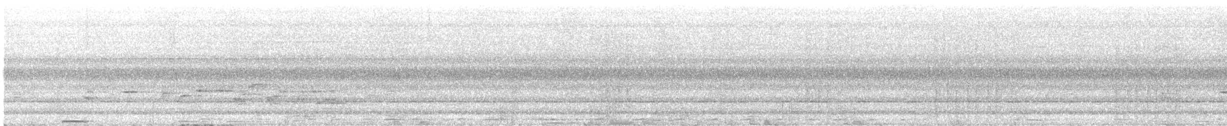 storbrundue (maculipectus) - ML582635361