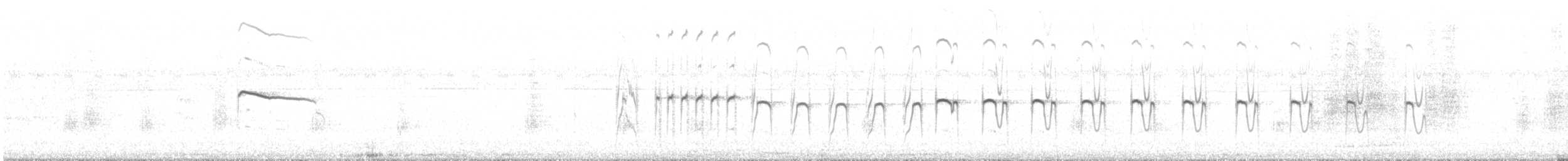 Лінивка-строкатка маскова - ML582641021