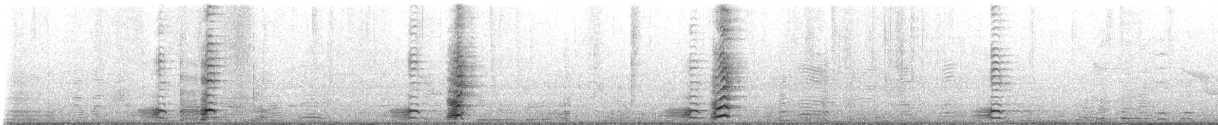 Серый гусь x Канадская казарка (гибрид) - ML582642391