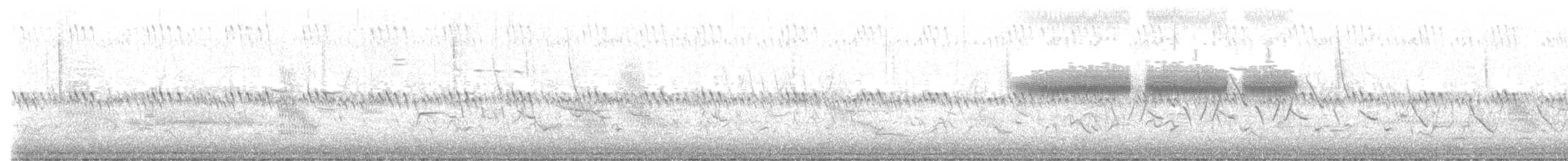 Clay-colored Sparrow - ML582658611