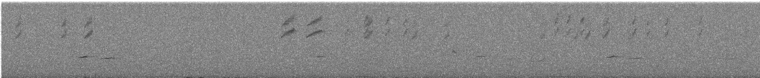 Weißflankenschnäpper - ML582669521