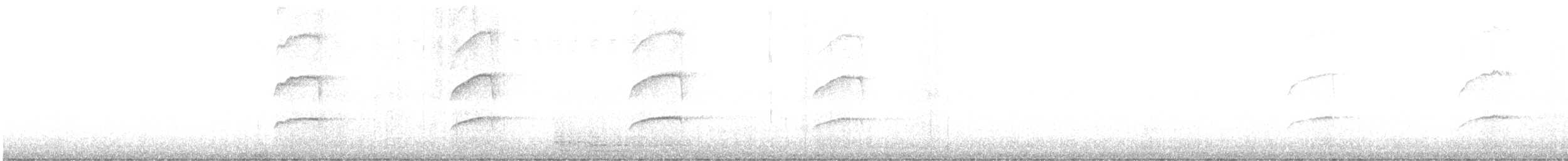 Eckschwanzsperber (ventralis) - ML582674871