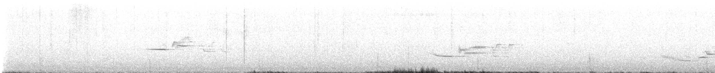 Дрізд-короткодзьоб плямистоволий - ML582688951