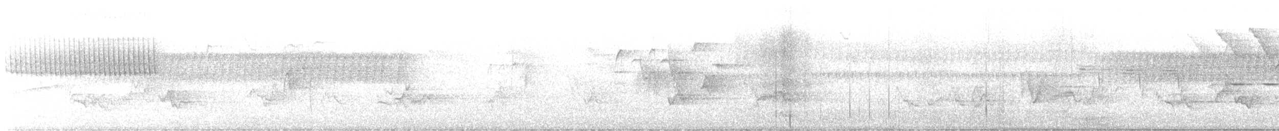 Paruline vermivore - ML582722191