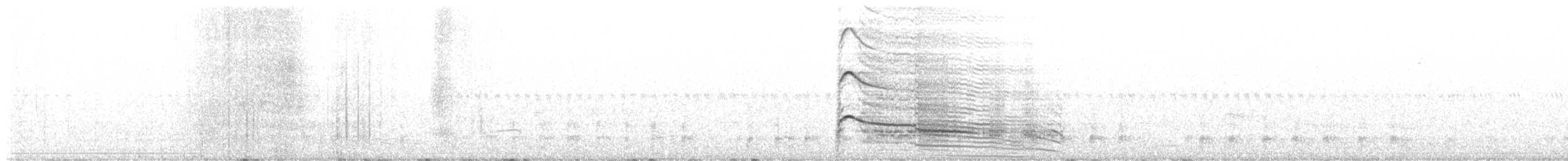 Rotschwanzbussard - ML582722271