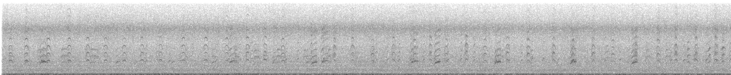 svartkronestylteløper (mexicanus) - ML582724081