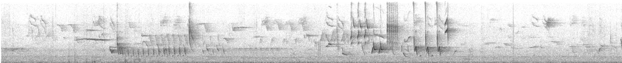 sørnattergal - ML582759691