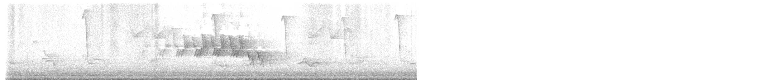 Черногорлая хвойница - ML582800281