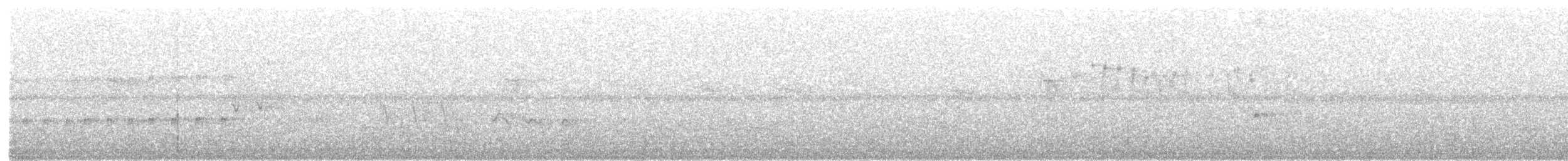 Microtyran chevelu - ML58282181