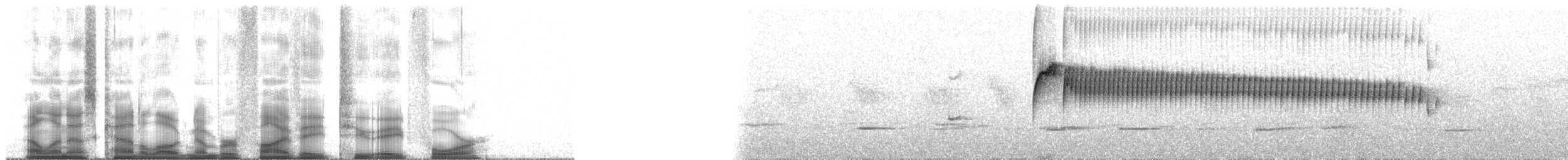 チャガシラヒタキタイランチョウ（frontalis／albidiadema） - ML58284