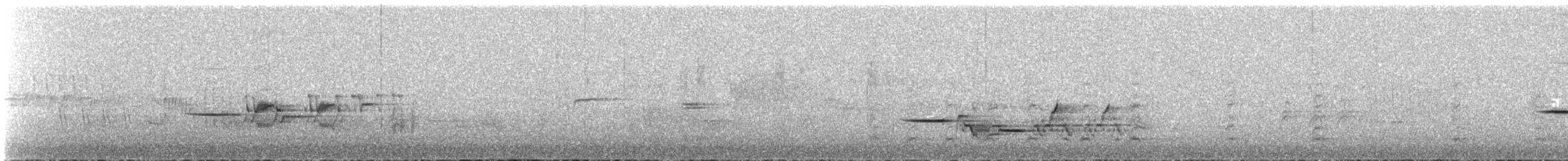 Дрізд-короткодзьоб плямистоволий - ML582861111