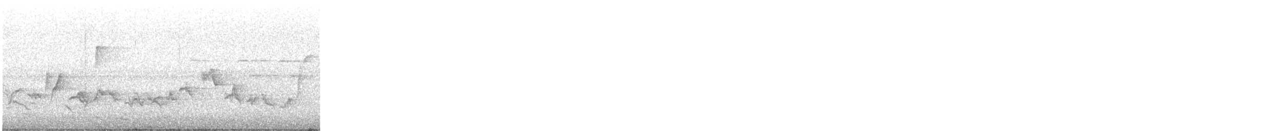 Eastern Warbling Vireo - ML582862901