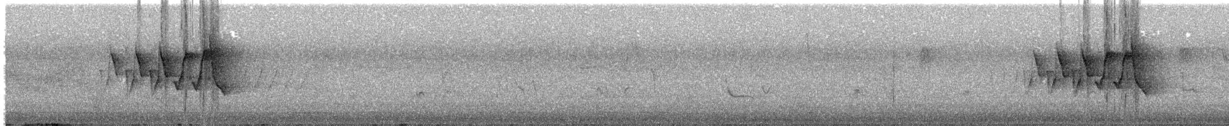 Chestnut-sided Warbler - ML582868291