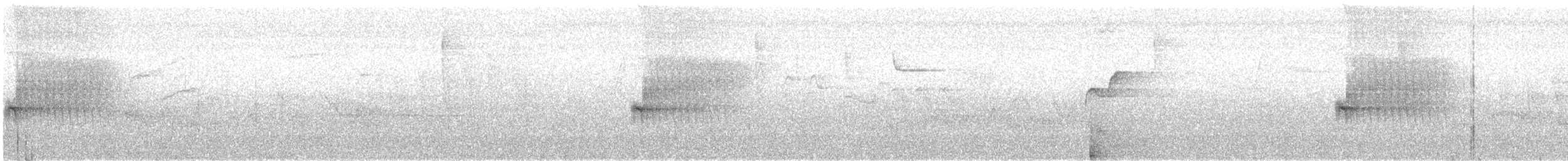 Spotted Towhee (oregonus Group) - ML582915031