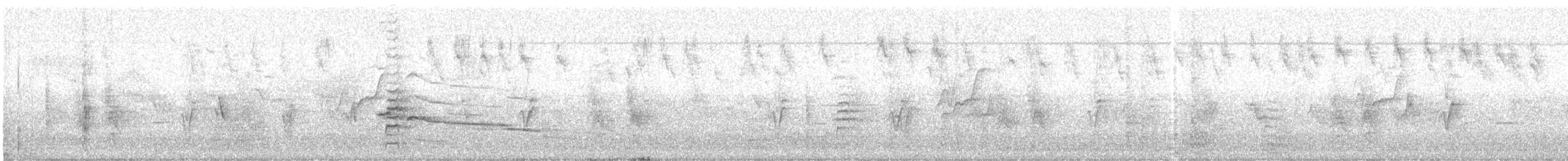 purpurhodetrupial - ML582919241