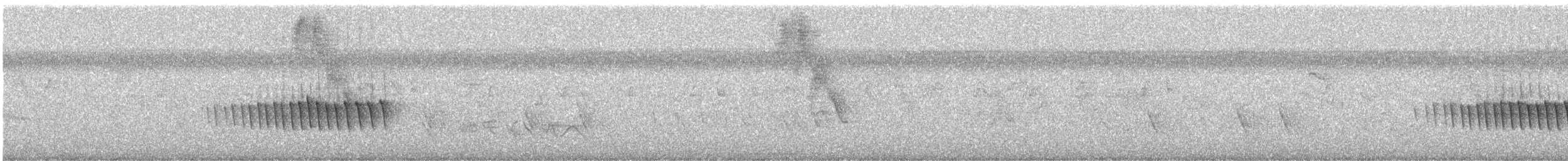 キタホオジロヒメウソ - ML582926291