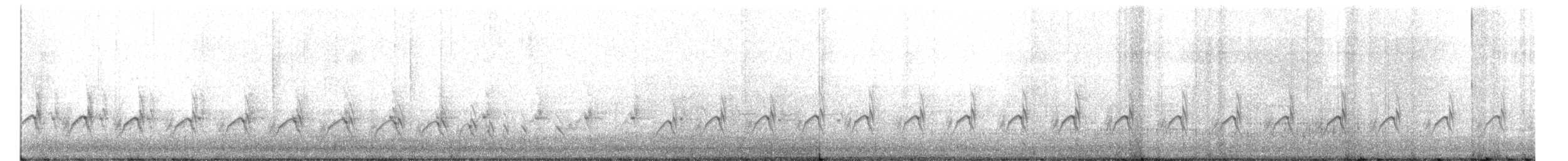 Chorlitejo Semipalmeado - ML582953841