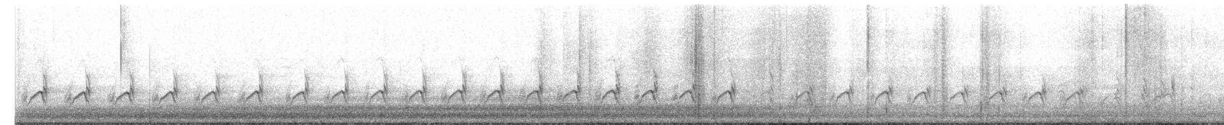 Chorlitejo Semipalmeado - ML582954141