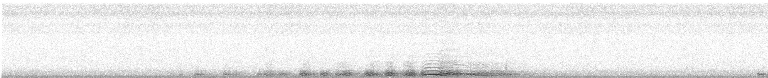 Chouette rayée - ML583004361