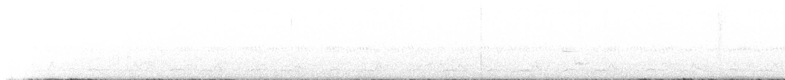 Schwarzkehl-Nachtschwalbe - ML583008971