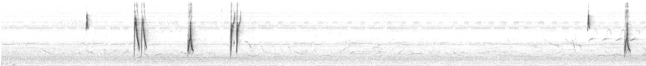Streifenrückenammer [petenica-Gruppe] - ML58301121