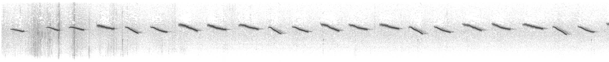 Braunrücken-Kurzflügel - ML583060141