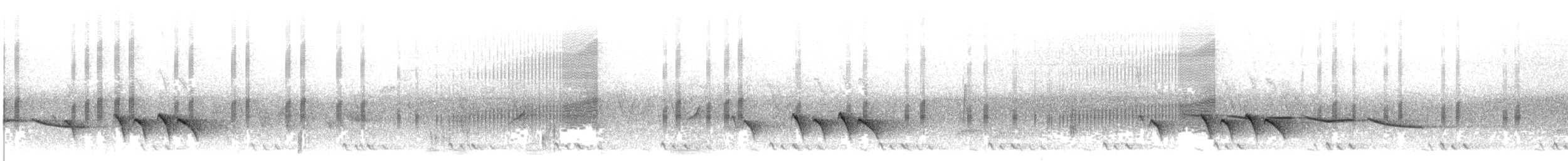 Allotrie siamoise - ML583065761