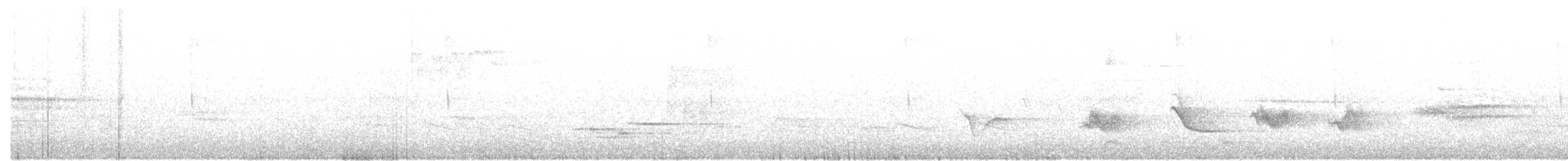 Чернокрылая пиранга - ML58310561