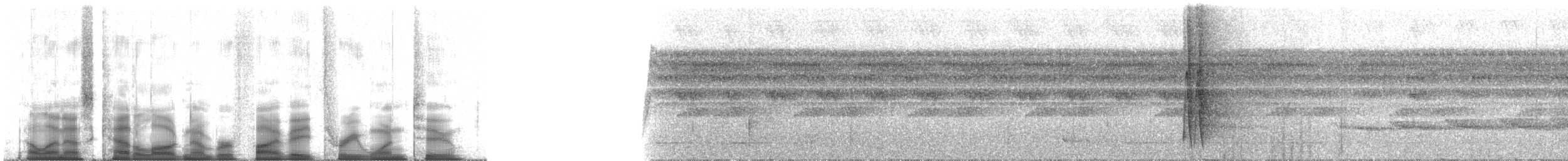 Curve-billed Scythebill (Zimmer's) - ML58312