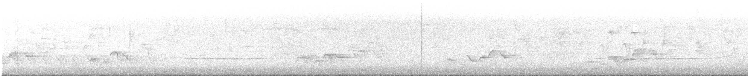 Дрізд-короткодзьоб Cвенсона - ML583149081