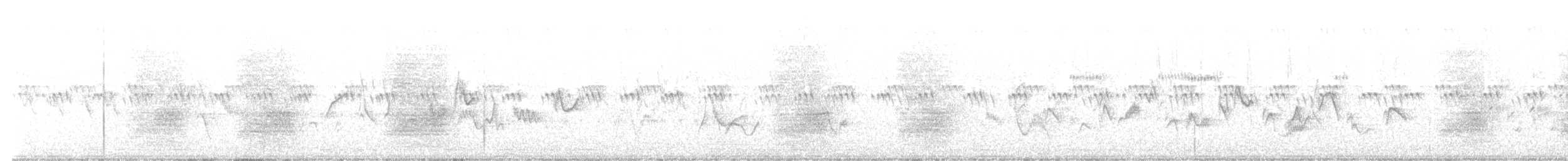 furuskrike (diademata gr.) - ML583168241
