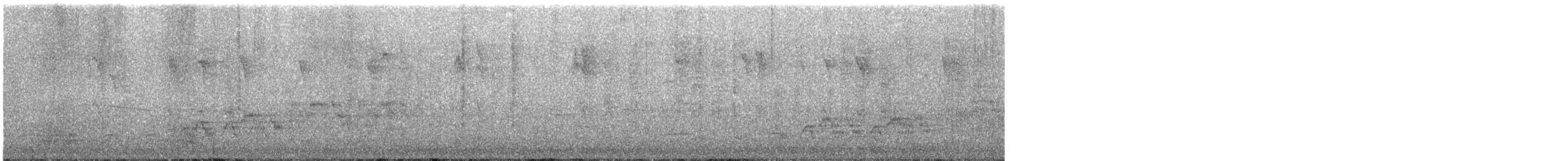 Дрізд-короткодзьоб Cвенсона - ML583183991