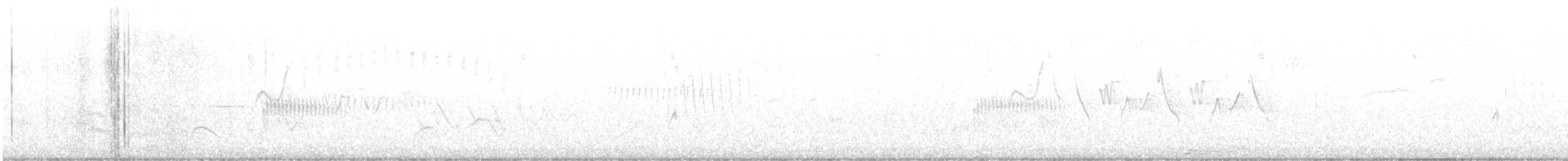 Полосатохвостый голубь - ML583206841