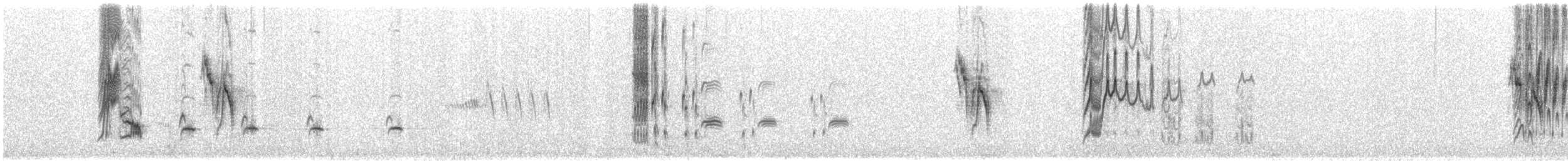 Zozo paparzuria (alpestris) - ML583216661