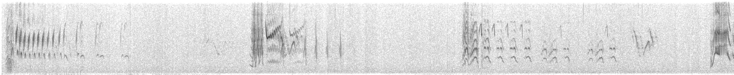 Zozo paparzuria (alpestris) - ML583217691
