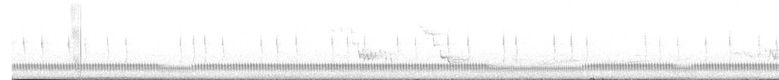 Zata arrunta - ML583229241
