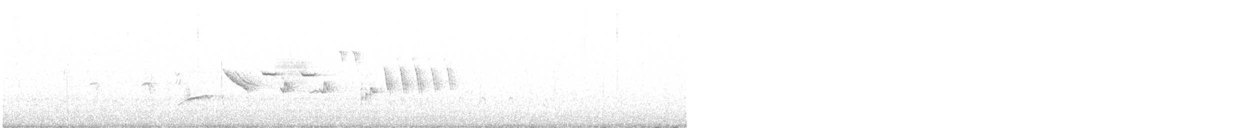 Bruant fauve (groupe megarhyncha) - ML583368651