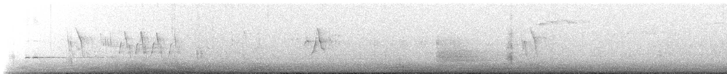 Охотский сверчок - ML583406741