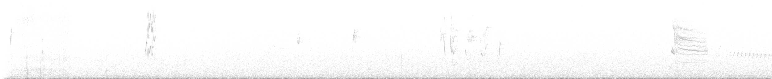 Каньонный крапивник - ML583448471